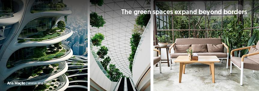 Architecture in 2024: Biomimicry