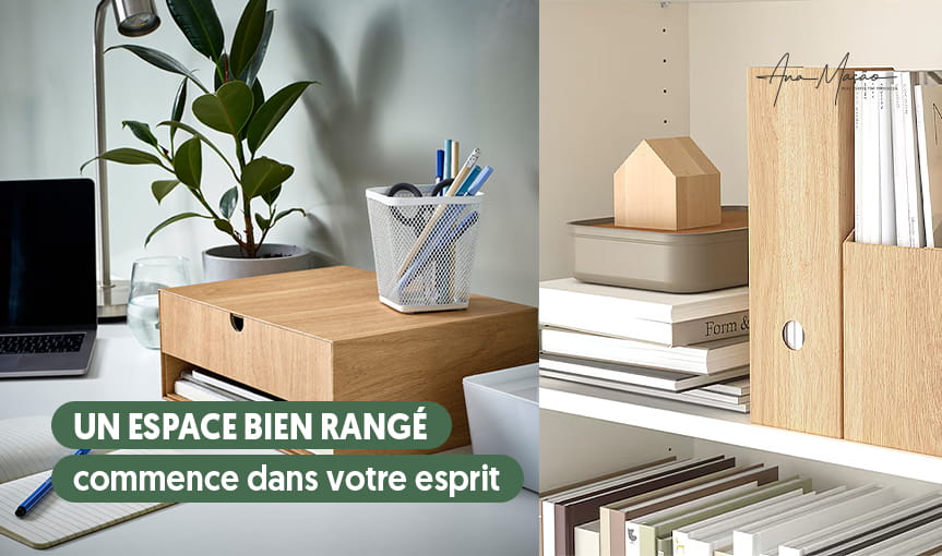 Mantenha a organização