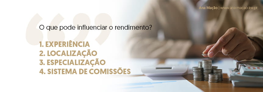 Factors that influence the income of a Real Estate Consultant