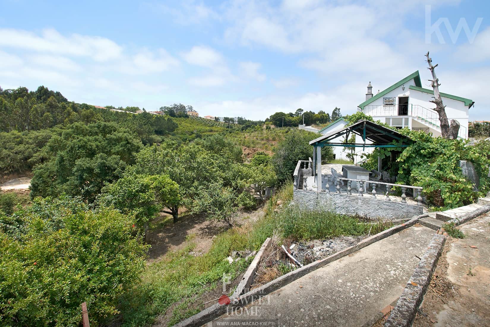 Small farm with 4,312 m2 in Ericeira
