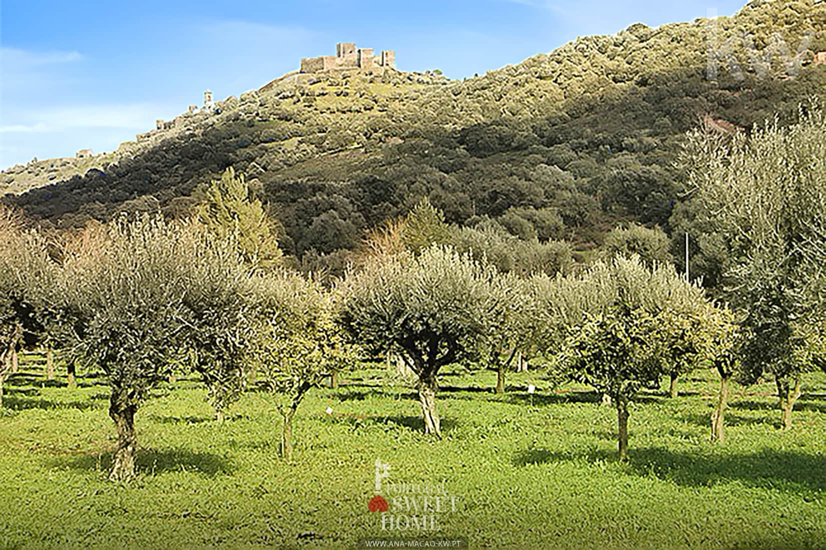 View of the estate and the Castle of Reguengos de Monsraz