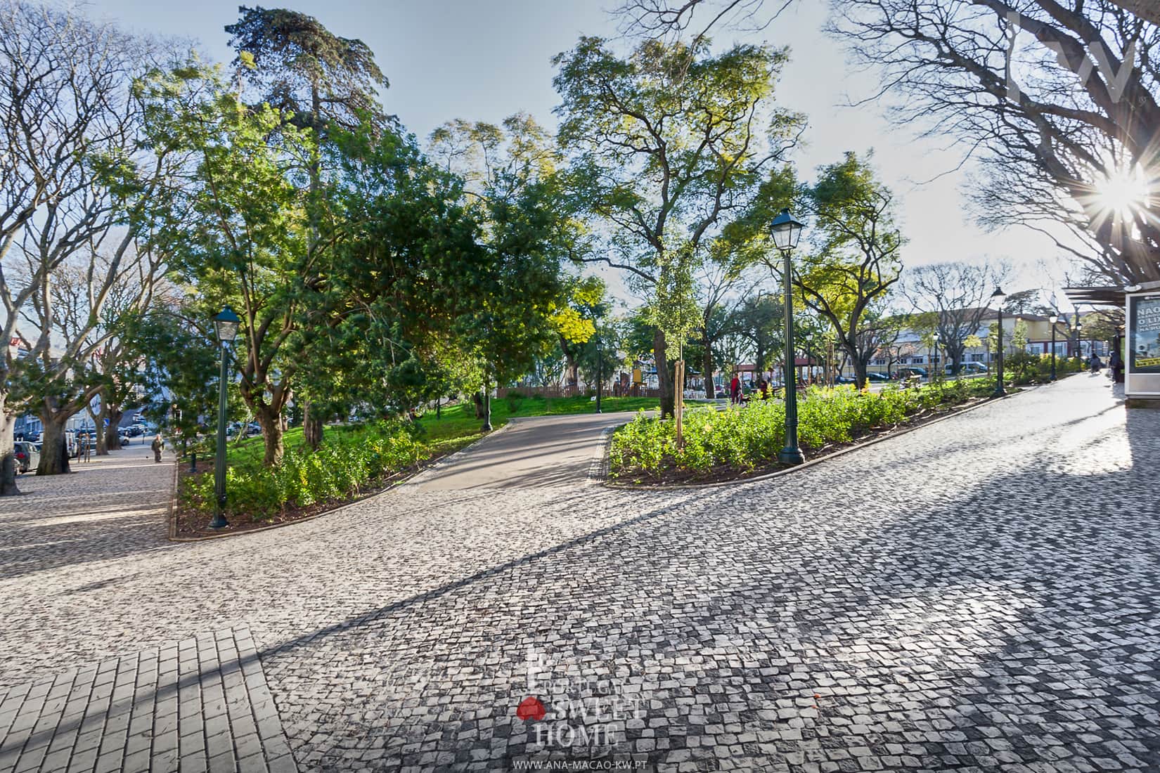 Autour: Jardim Avelar Brotero