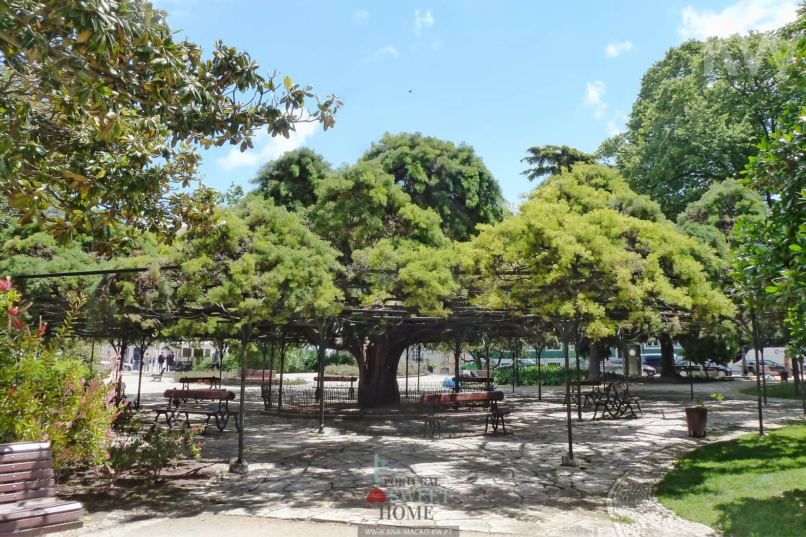 Jardin du Príncipe Real