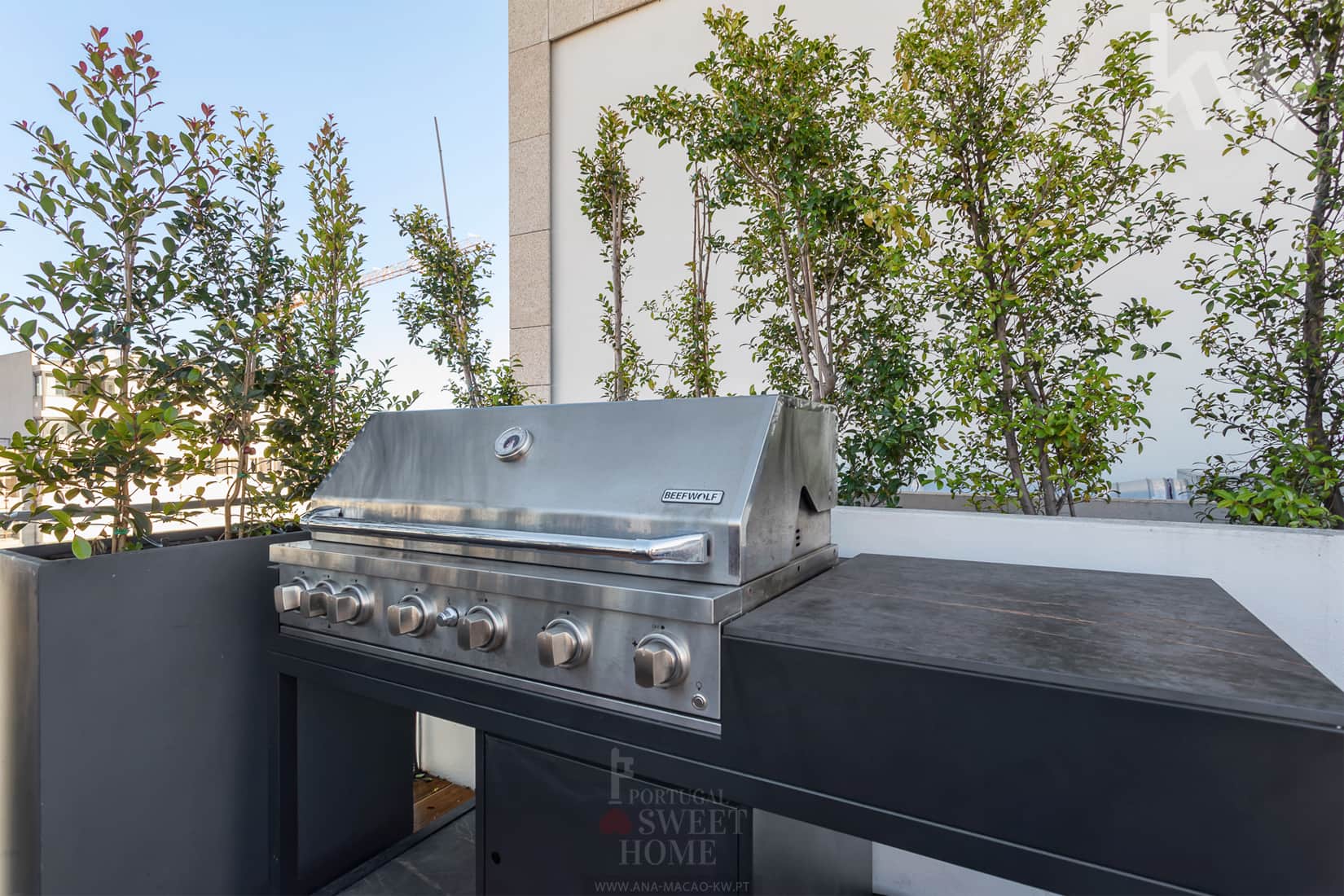 Barbecue area to support the dining area.