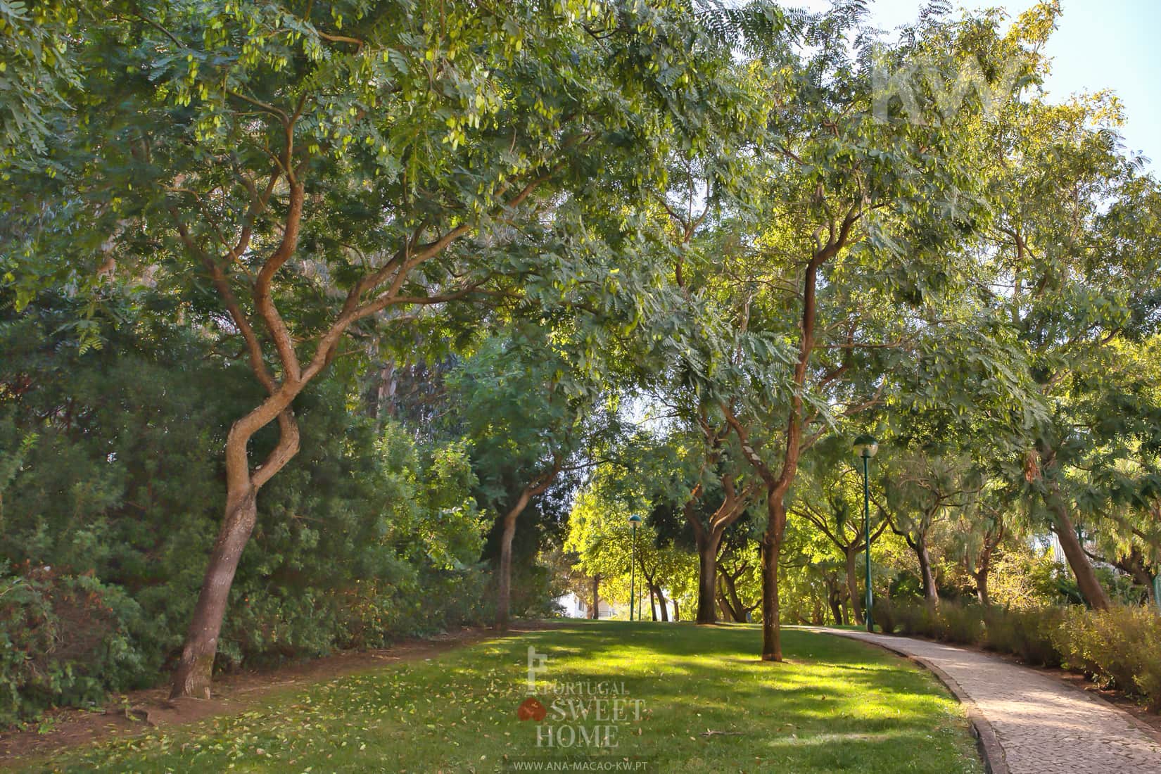 Jardin autour de la maison