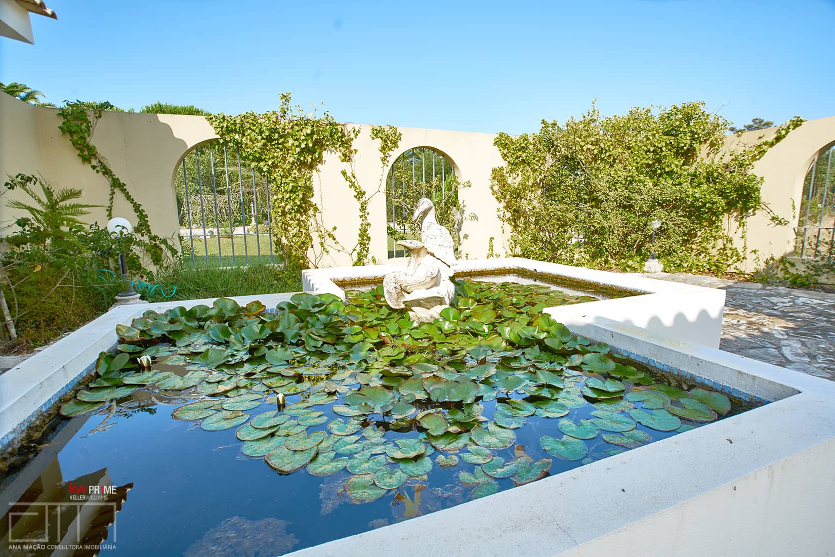 Water lily pond with figurine