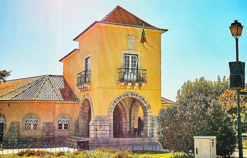 Cartaxo Ana Mação KW