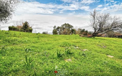 Land - Residential construction area
