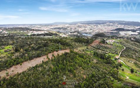 Aerial view of the terrain