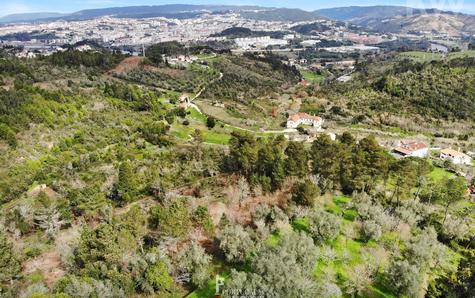 Vista aérea da zona florestal