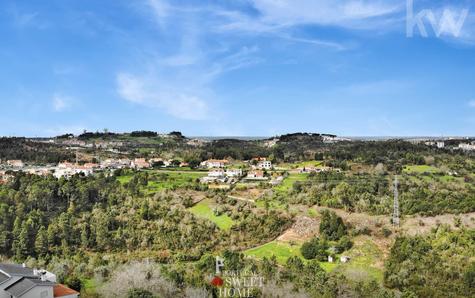 Aerial view of the terrain