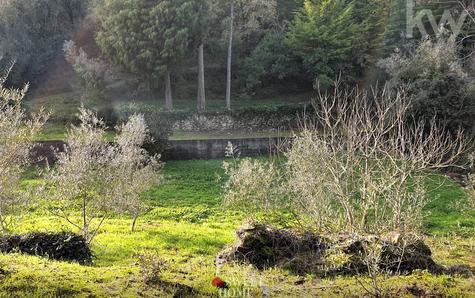 View of the forest / agricultural area