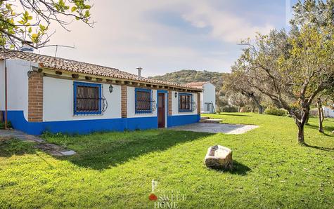 Exterior view of one of the houses