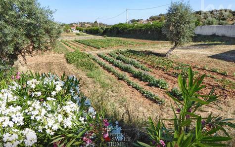 Herdade's vegetable garden