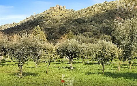 View of the estate and the Castle of Reguengos de Monsraz