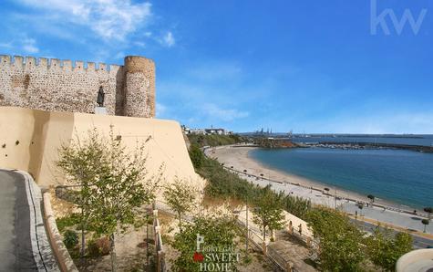 Castle and bay of Sines