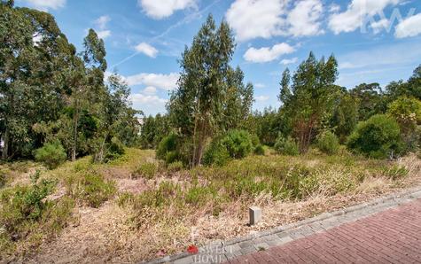 View of the Land on C Street next to the residential area