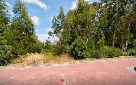 View of the Land on C Street next to the residential area