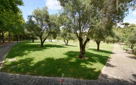 View of the area surrounding the Plot of Land