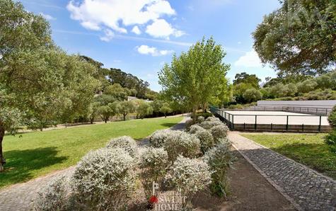 View of the area surrounding the Plot of Land