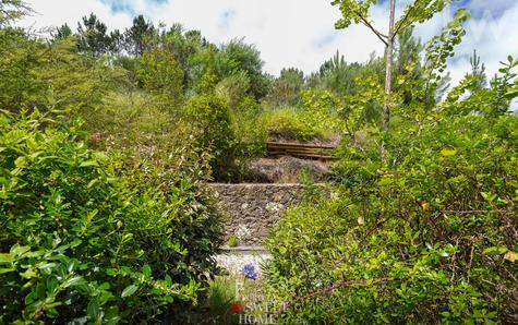 View of the garden at the back of the house