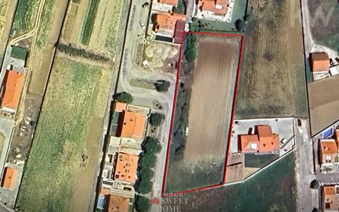 Aerial view of the Plot of Land, in Assenta, São Pedro da Cadeira