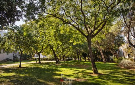Jardim em redor da moradia