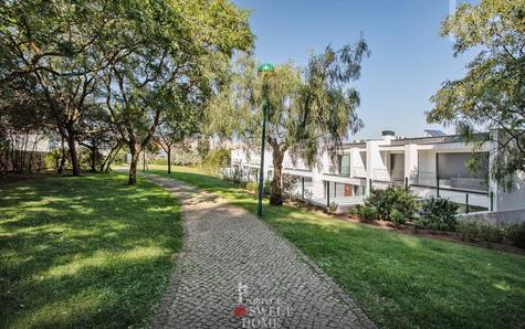 Jardim em redor da moradia