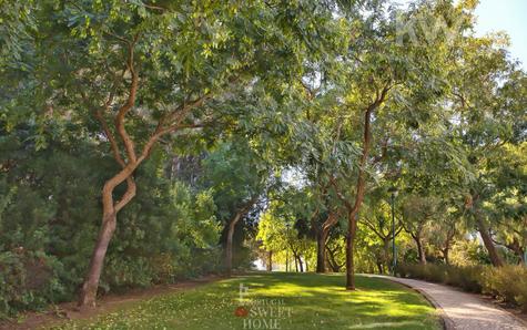Jardim em redor da moradia
