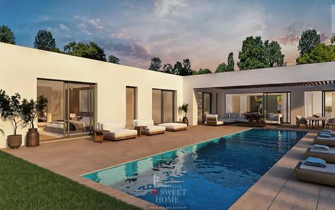 Swimming pool and leisure area