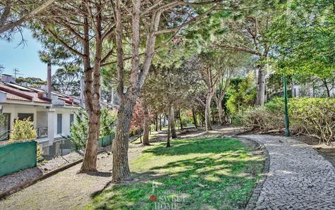 Surrounding gardens at the back of the house