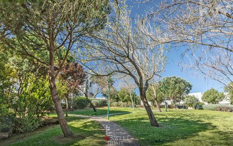 Jardins envolventes nas traseiras da casa