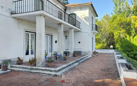 Large terrace of the house
