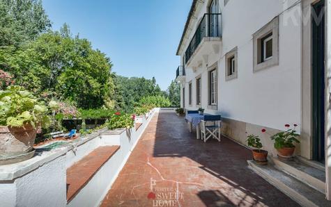 Terraço que rodeia a casa
