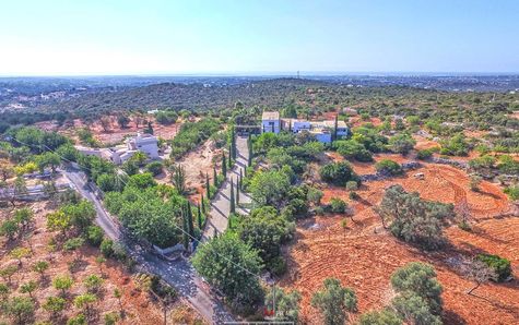 Aerial view of land and house