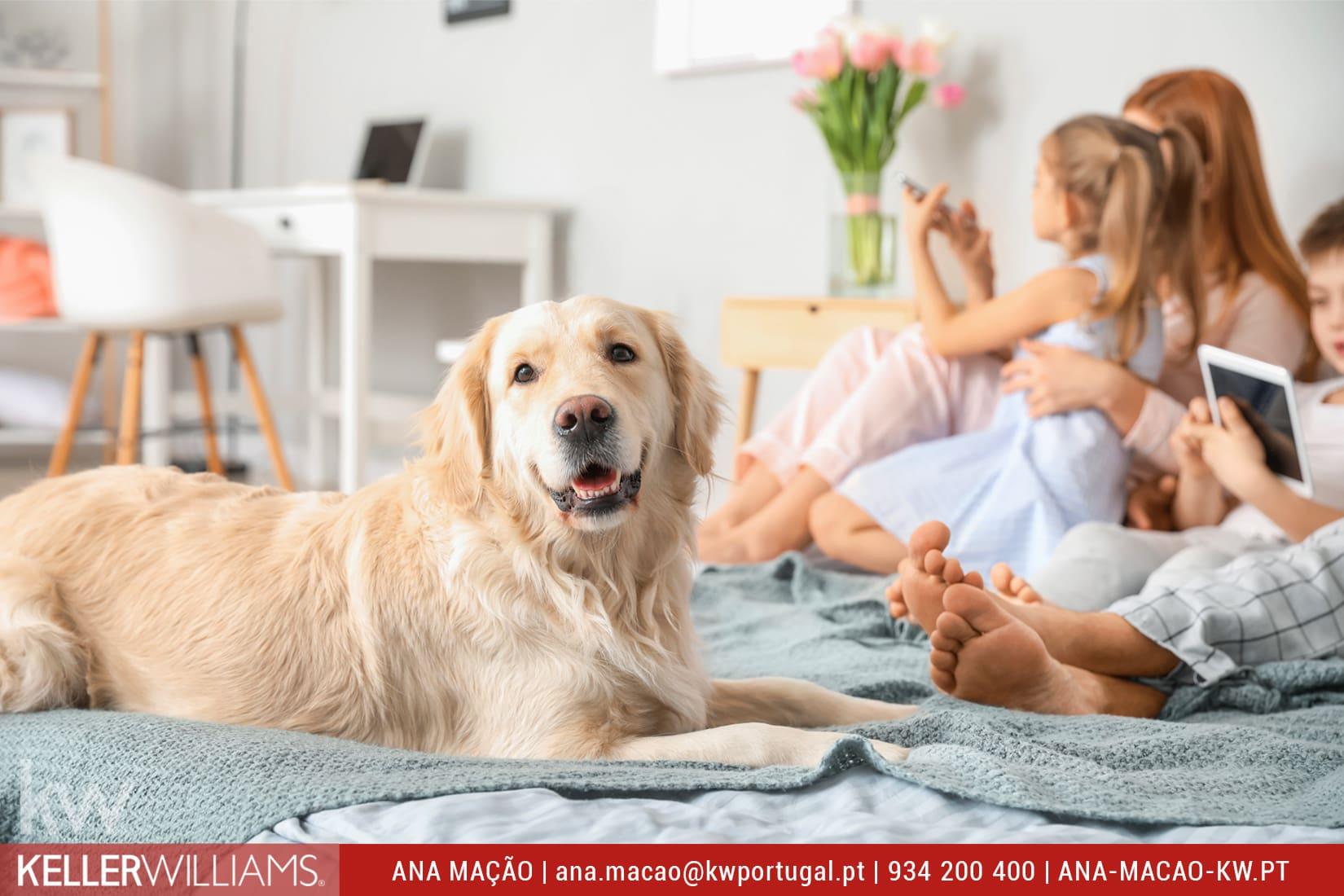 10 vantagens de ter um cão em casa