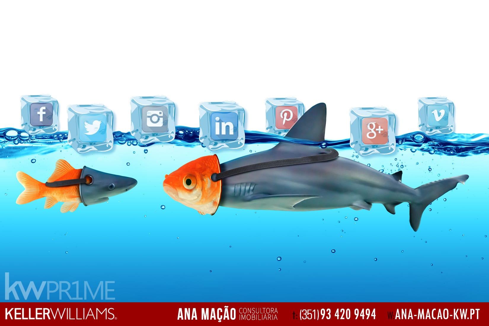 SharkWeb - Ou como evitar ser mordido em alto-mar!